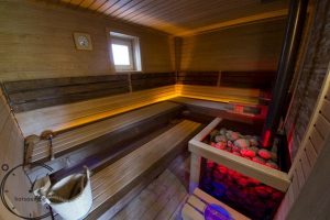sauna panmax baden sauna verkaufen (21)